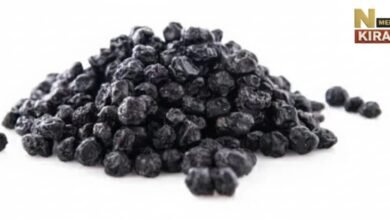 सुबह की ये आदत बदलेगी आपका वजन—काली किशमिश का पानी महीने भर में करेगा चर्बी को गायब