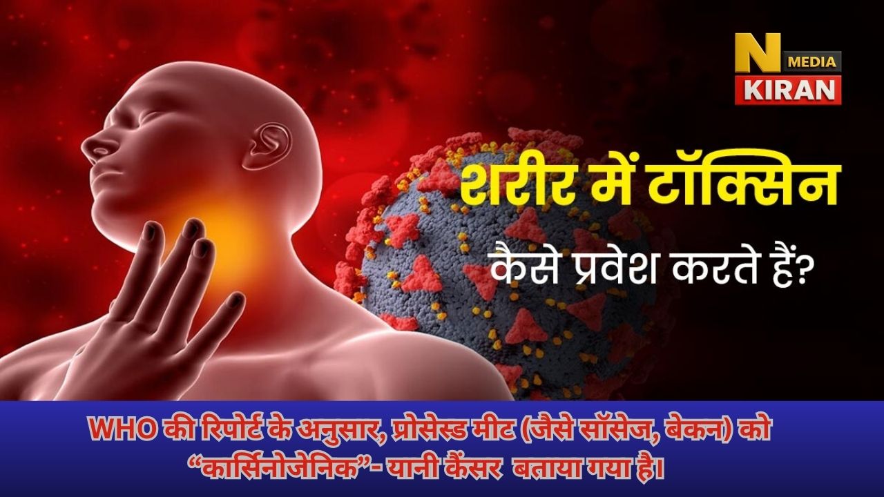 “कैंसर के दुश्मन आपकी थाली में ही हैं! जानिए कौन-से खाने बन सकते हैं जानलेवा” “कैंसर के दुश्मन आपकी थाली में ही हैं! जानिए कौन-से खाने बन सकते हैं जानलेवा”