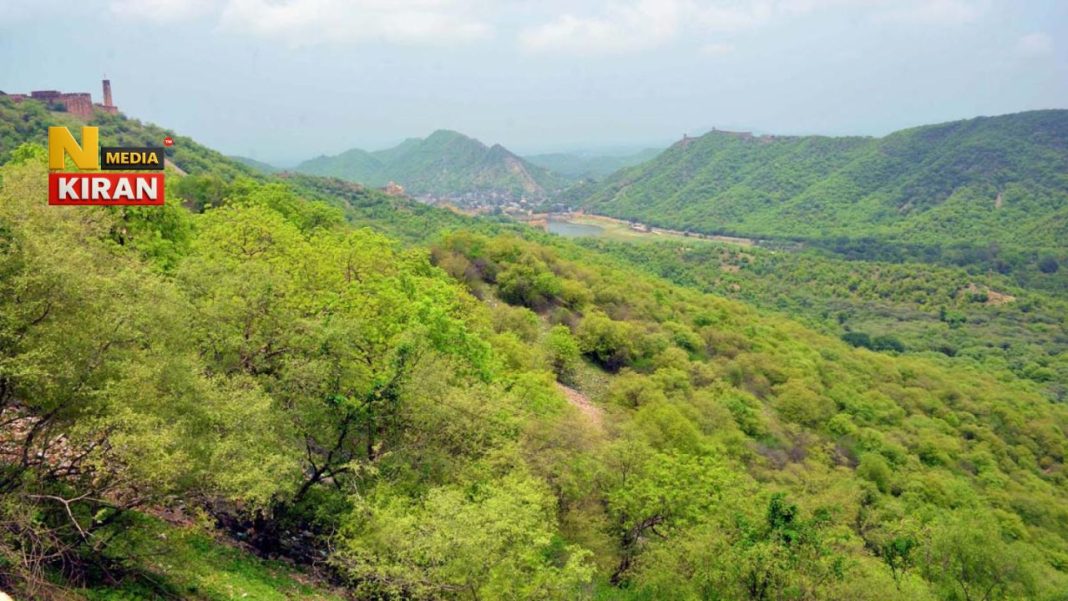 Aravalli Hill