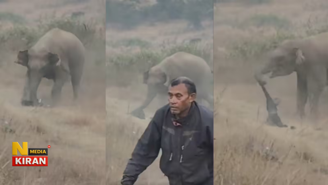 Jharkhand News: झारखंड के रामगढ़ में जंगली हाथियों के साथ सेल्फी लेना पड़ा भारी, युवक को कुचलकर मार डाला Jharkhand News