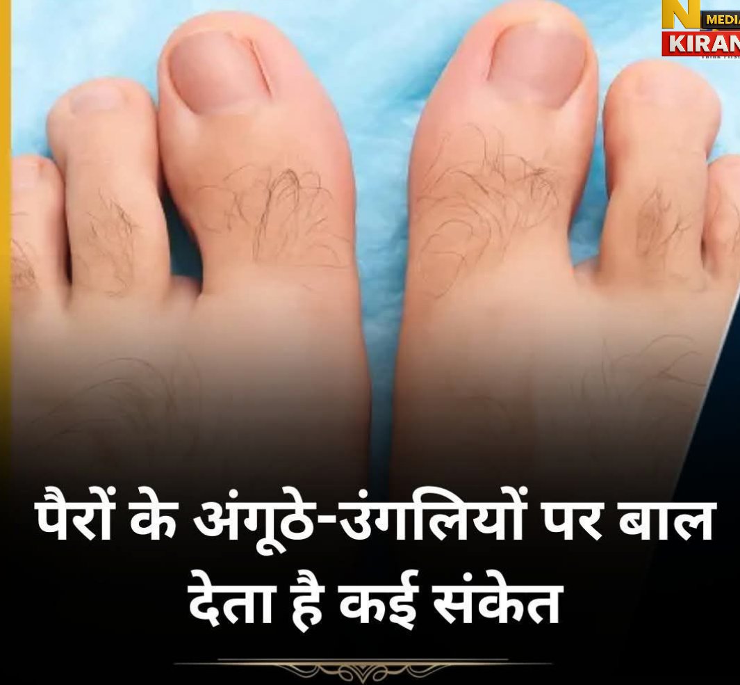 सामुद्रिक शास्त्र: पैरों के अंगूठे और उंगलियों पर बाल होना क्या देता है संकेत? सामुद्रिक शास्त्र: पैरों के अंगूठे और उंगलियों पर बाल होना क्या देता है संकेत?