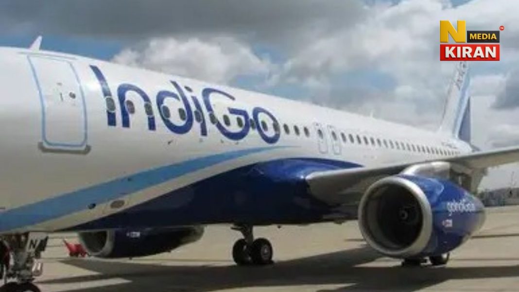 Indigo Flight