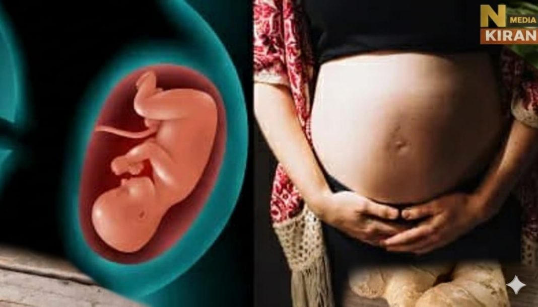 गर्भावस्था में प्रदूषण कितना है खतरनाक? अजन्मे बच्चे को सुरक्षित रखने के जरूरी उपाय