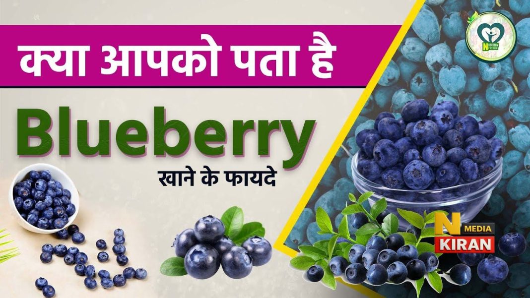 रोजाना एक मुट्ठी ब्लूबेरी खाएं – डायबिटीज, दिल, दिमाग, आँखें सब रहेंगे जवान! रोजाना एक मुट्ठी ब्लूबेरी खाएं – डायबिटीज, दिल, दिमाग, आँखें सब रहेंगे जवान!