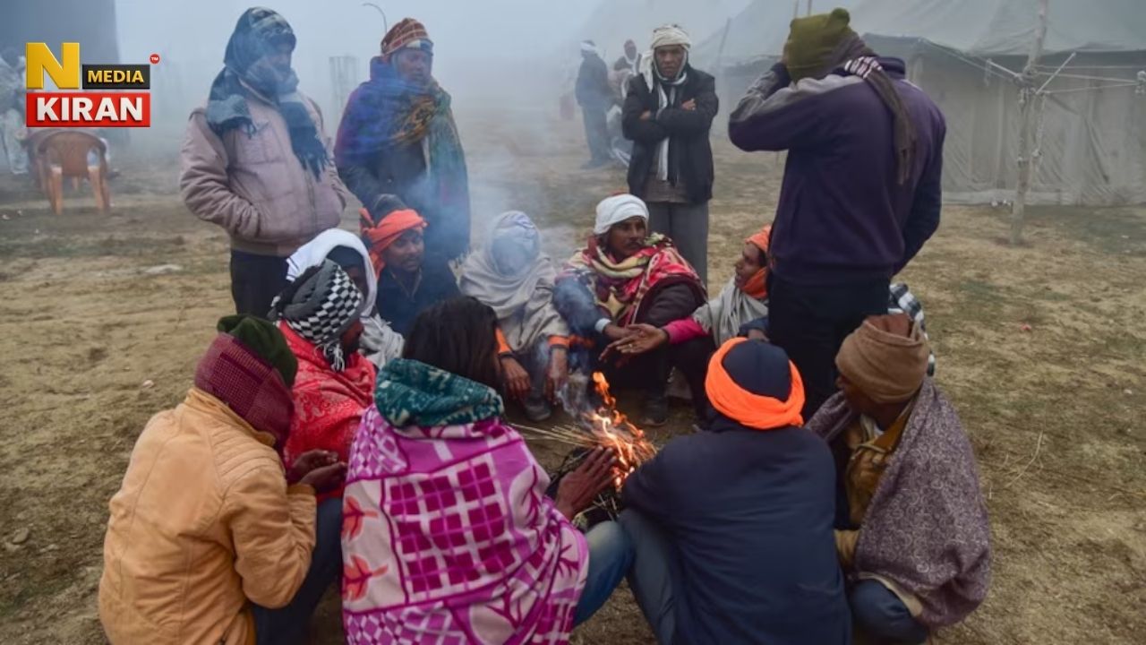 Today Weather News: Effects of cold wave