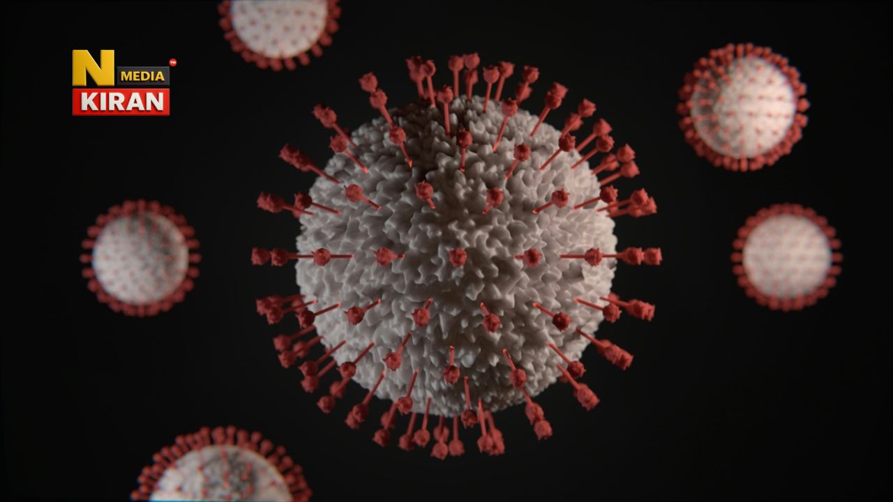 West Bengal News: Nipah Virus