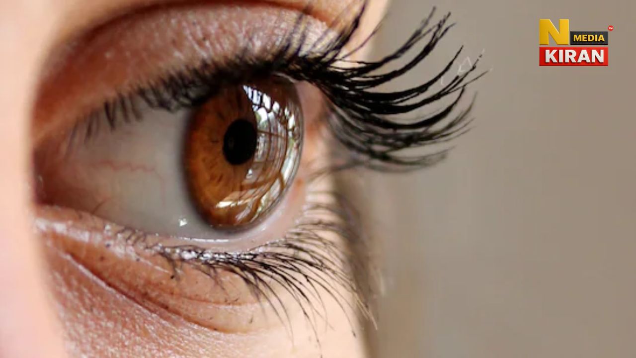 Benefits of Bitter Gourd: correcting eyesight