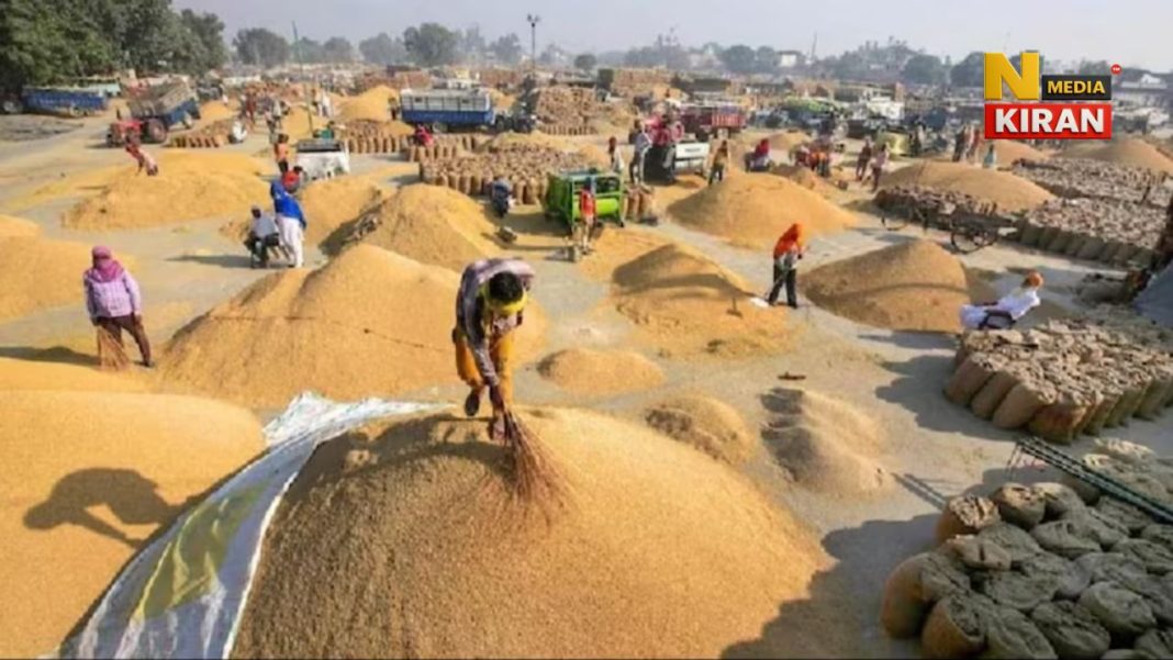 कोडरमा में धान खरीद का शानदार प्रदर्शन, झारखंड में बना नंबर वन, गोदाम हुए भरे Jharkhand News