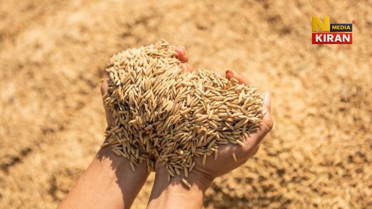Jharkhand News: Paddy procurement increased