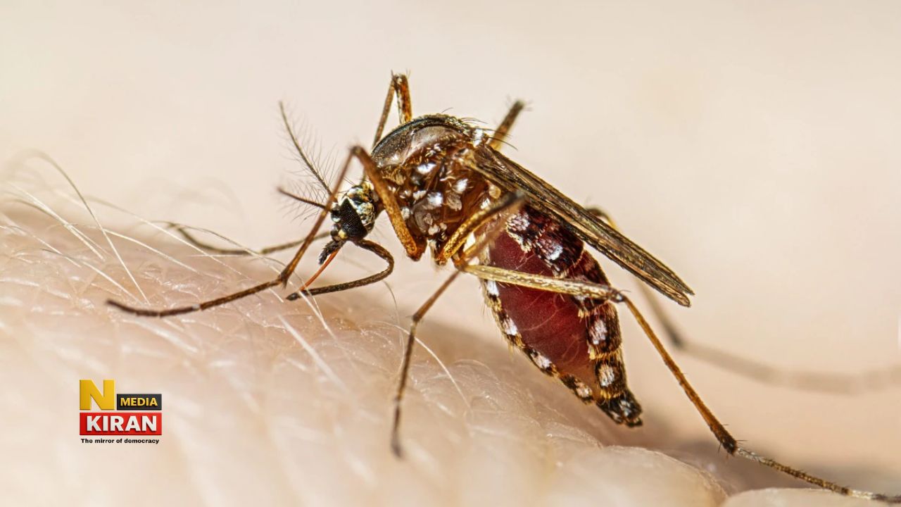 India's 1st Dengue Vaccine