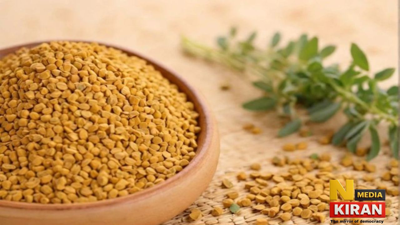 Fenugreek Seeds Health Benefits