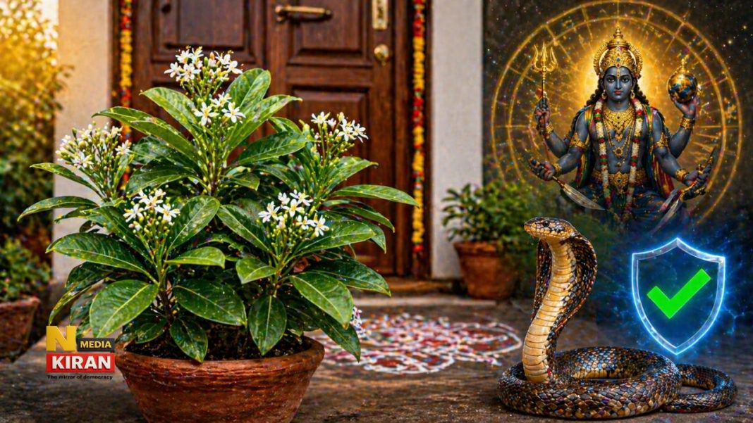 Vastu Tips