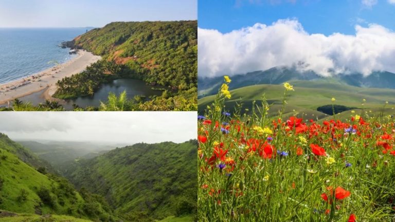 August Travel Destinations: अगस्त में घूमने के लिए भारत के ये बेस्ट ट्रैवल डेस्टिनेशन, मिलेगा यादगार अनुभव