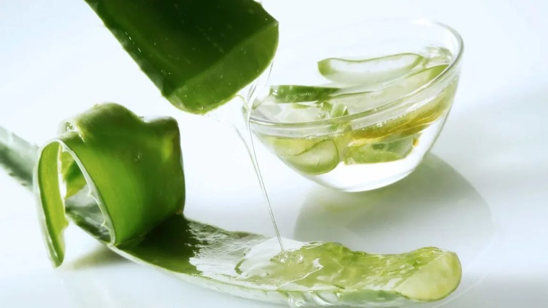 DIY Aloe Vera Hair Gel