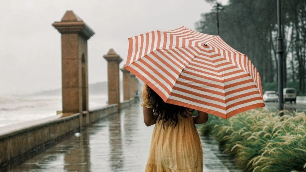 Monsoon Travel Tips: मानसून में साउथ इंडिया की ये जगहें दिखेंगी स्वर्ग जैसी, हिल स्टेशनों की खूबसूरती देखकर रह जाएंगे दंग Monsoon Travel Tips