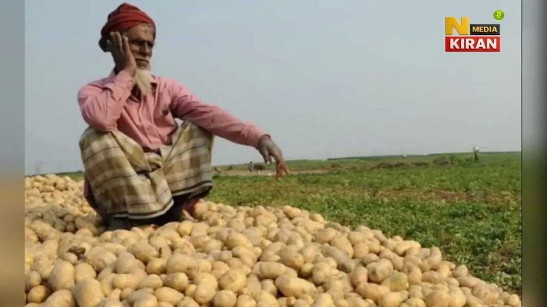 WB: बंगाल में 30 लाख मीट्रिक टन आलू सरप्लस, निर्यात पर सब्सिडी WB: बंगाल में 30 लाख मीट्रिक टन आलू सरप्लस, निर्यात पर सब्सिडी