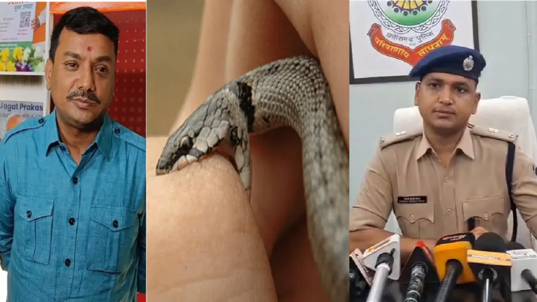 CG News: छत्तीसगढ़ में सर्पदंश मुआवजा घोटाले की आशंका, डीजीपी ने ईओडब्ल्यू को सौंपने का प्रस्ताव भेजा, मामला गंभीर CG News