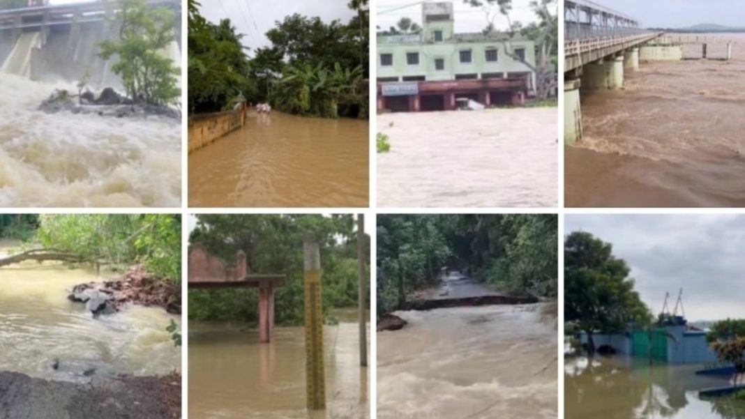 Flood Fury in Odisha: महानदी की बाढ़ ने ओडिशा के किसान बल्लभ की मेहनत को बहाया, 2.5 लाख की फसल बर्बाद; एक साल पहले बेटी-भतीजी छीन चुकी थी नदी Flood Fury in Odisha