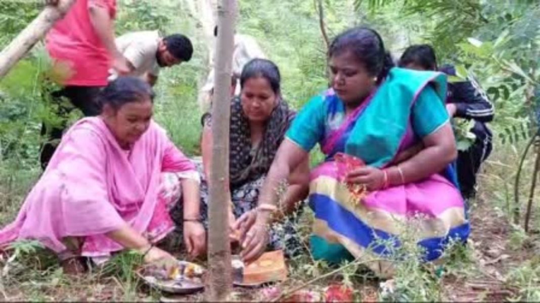 Jharkhand Tree Rakhi Tradition