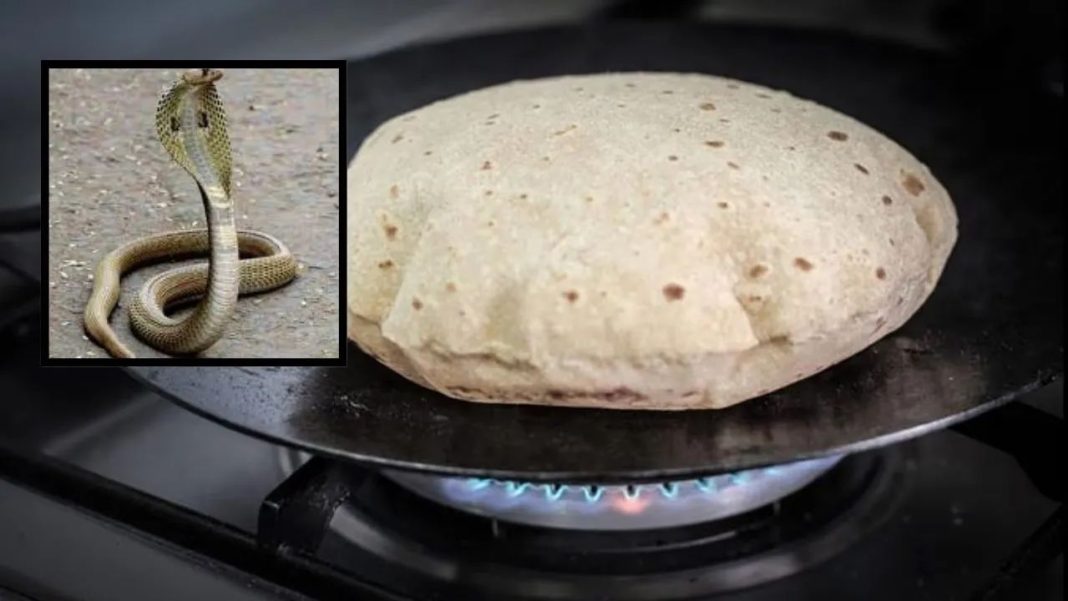 Nag Panchami 2026