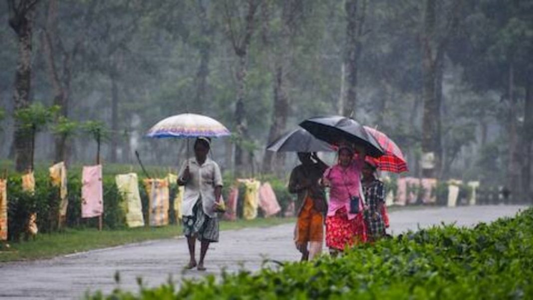 UP Weather Update 13 Aug 2026: यूपी में 13 अगस्त से बदलेगा मौसम, पूर्वांचल से शुरू होगा भारी बारिश का दौर UP Weather Update 13 Aug 2026