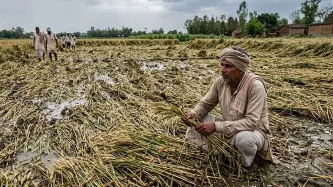 Bihar Flood: बिहार में बाढ़ से 270 करोड़ की फसल तबाह, किसानों को मिलेगा इतना अनुदान, जानें पूरी डिटेल Bihar Flood