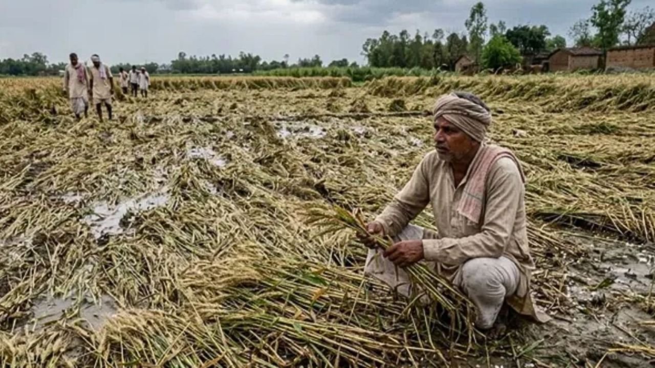 Bihar Flood: बिहार में बाढ़ से 270 करोड़ की फसल तबाह, किसानों को मिलेगा इतना अनुदान, जानें पूरी डिटेल