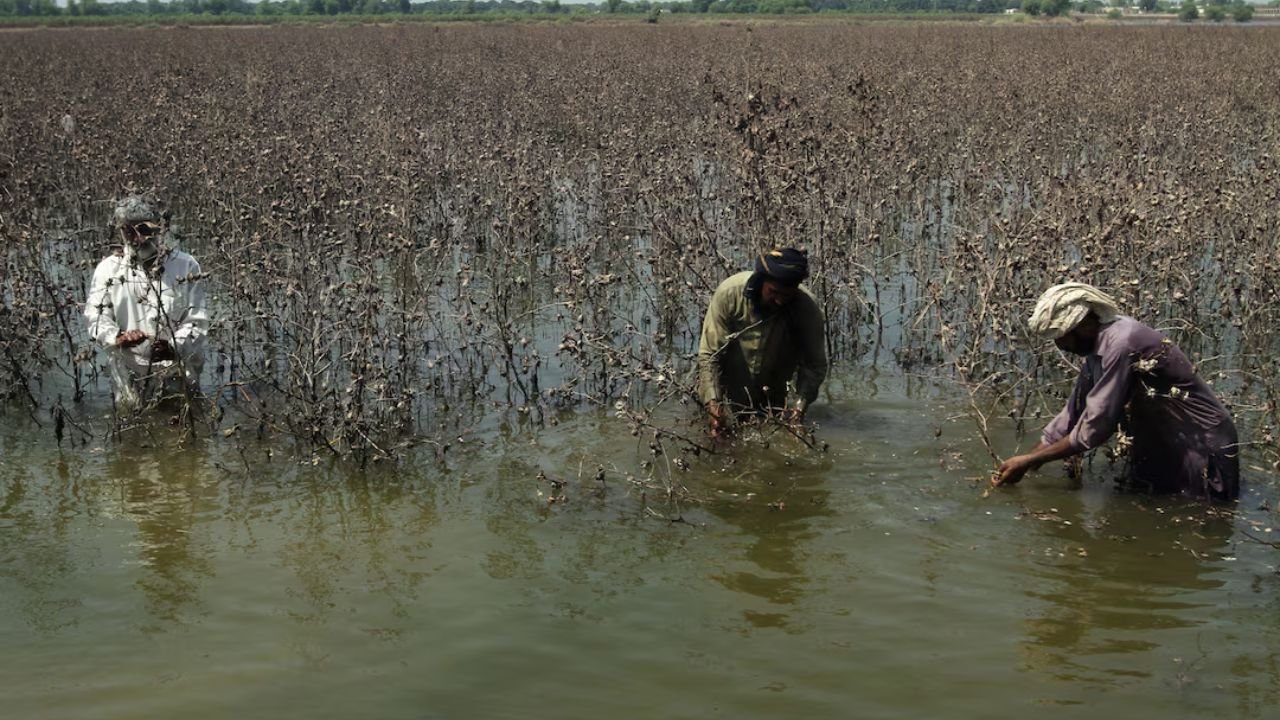 Bihar Flood