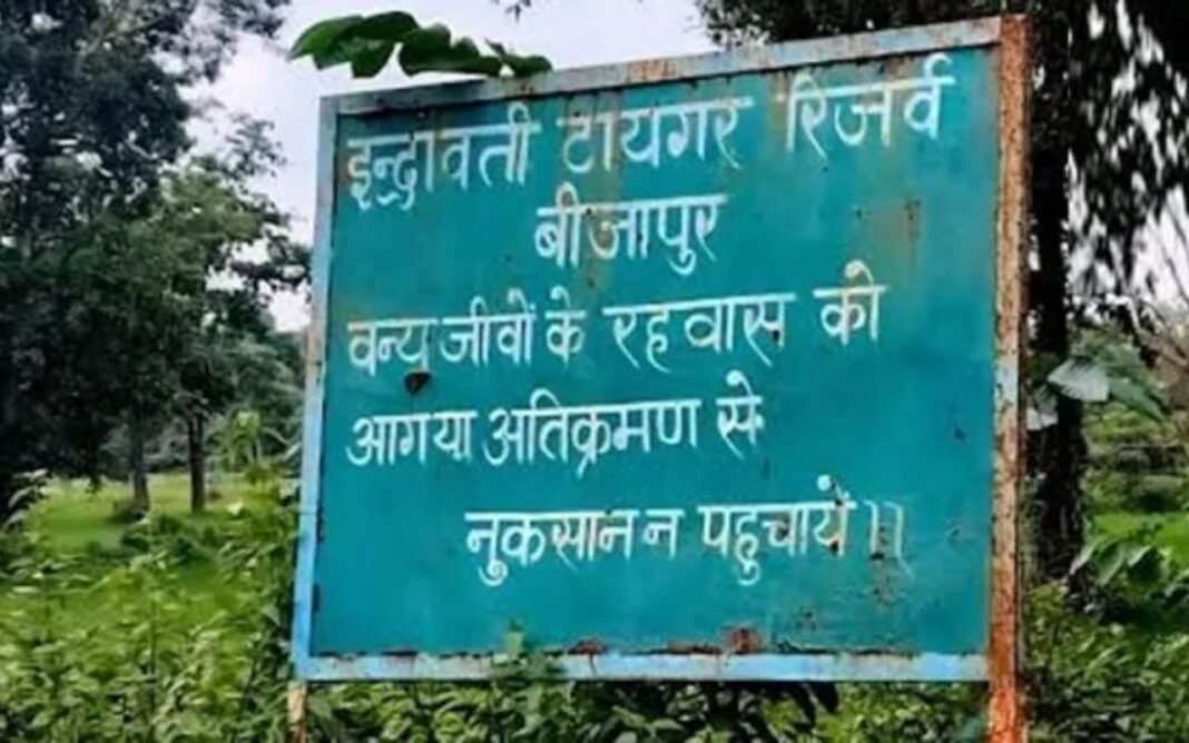 CG News: बस्तर का इंद्रावती टाइगर रिजर्व 1 नवंबर से पर्यटकों के लिए खुलेगा, 40 साल बाद फिर सफारी CG News