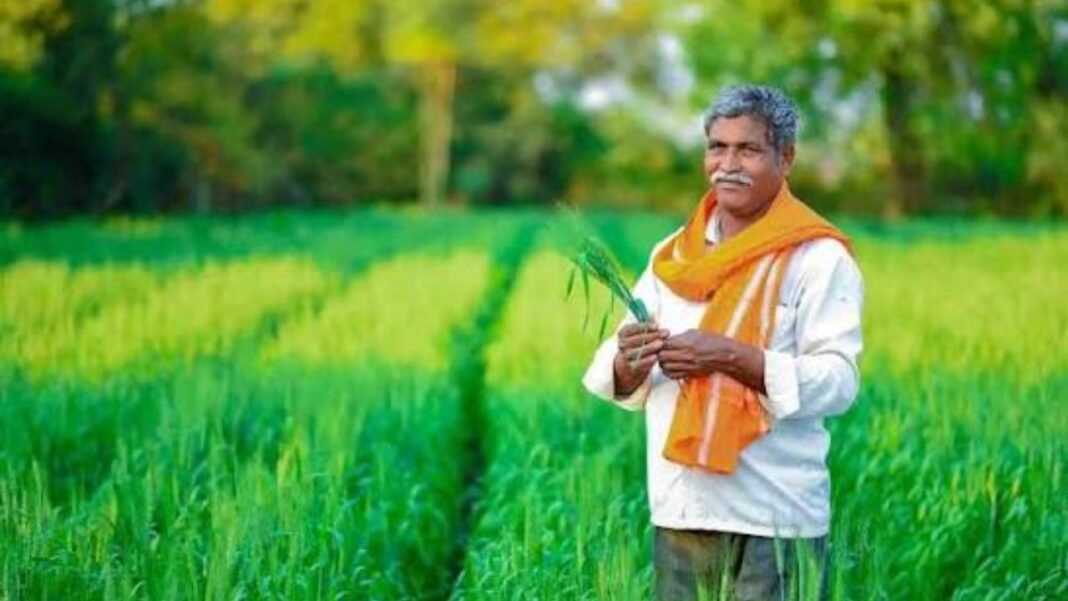 KCC Loan: किसान क्रेडिट कार्ड नहीं बनवाया तो ये फायदे जान लें, सीमा पांच लाख तक बढ़ी KCC Loan