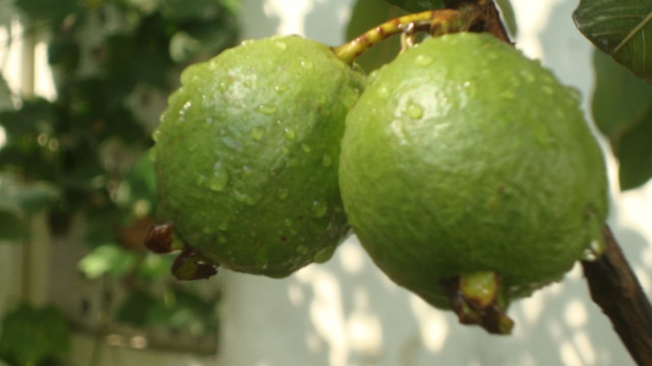 Fruits For Glowing Skin
