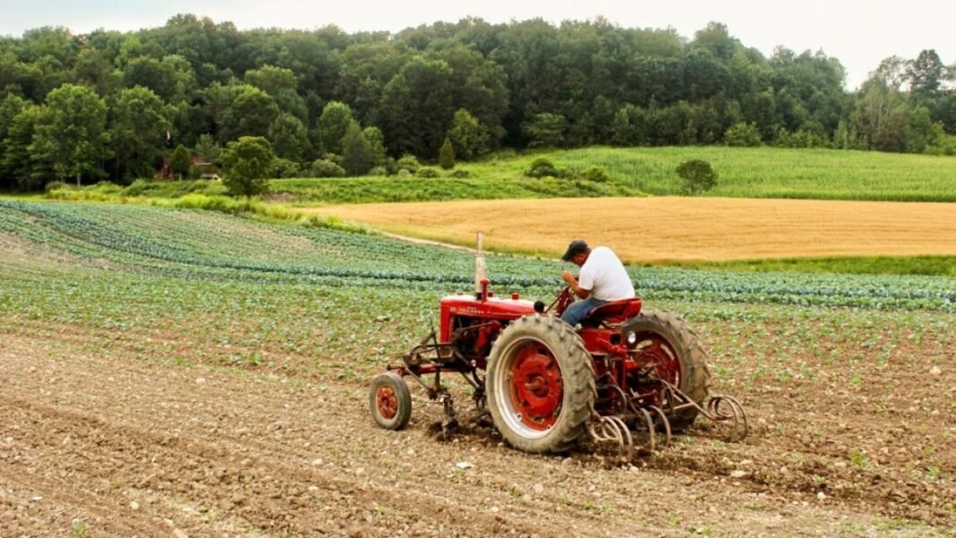Soil Health Card Scheme: खेत में नहीं हो रही अच्छी पैदावार? सरकार की सॉइल हेल्थ कार्ड स्कीम से मिलेगी सही जानकारी Soil Health Card Scheme: खेत में नहीं हो रही अच्छी पैदावार? सरकार की सॉइल हेल्थ कार्ड स्कीम से मिलेगी सही जानकारी