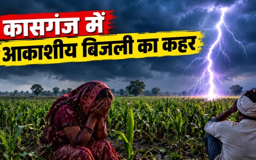 UP News